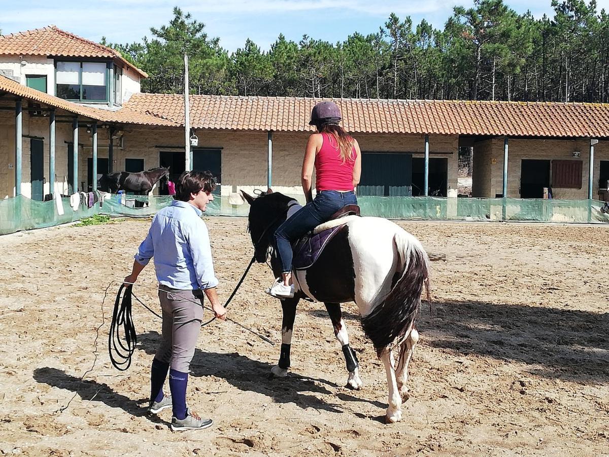 Casa De Ferias Aveiro Com Piscina アヴェイロ エクステリア 写真